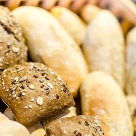 Exe Campus Hotel Cerdanyola del Valles