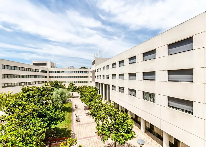 Exe Campus