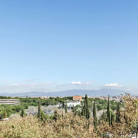 Exe Campus 4*